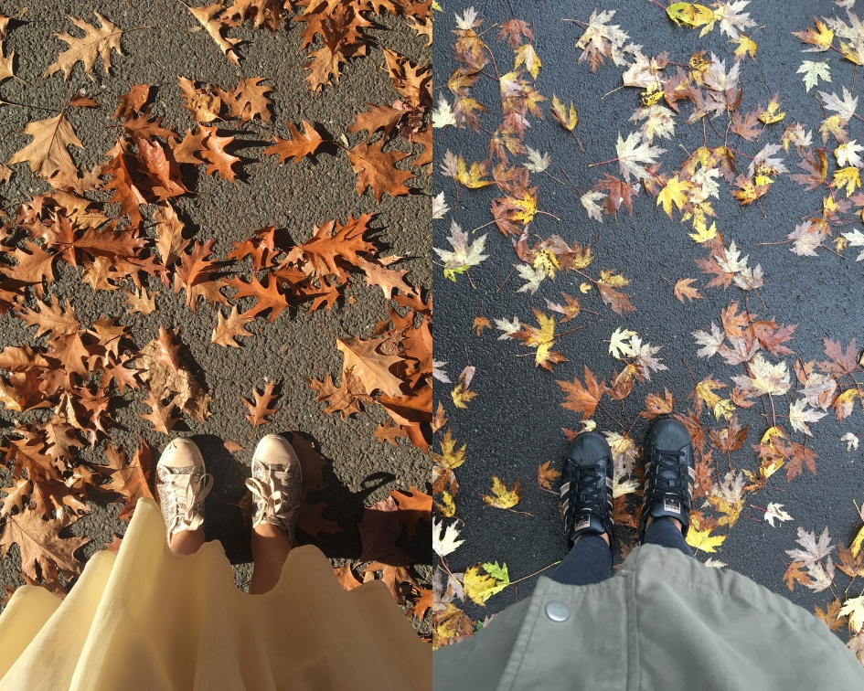 liście na chodnikach