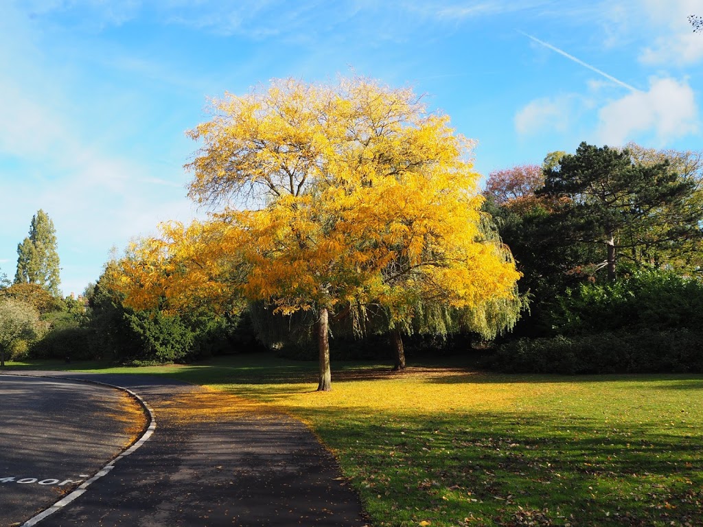 Dulwich Park – park odpowiedni dla każdego