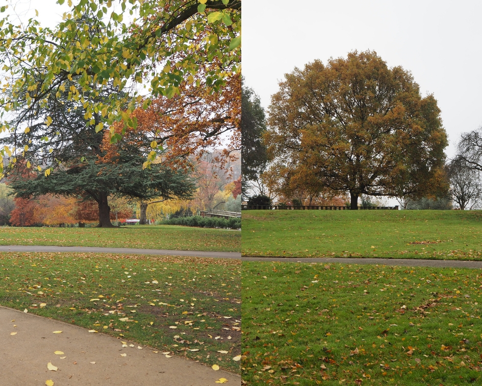 jesien w parku