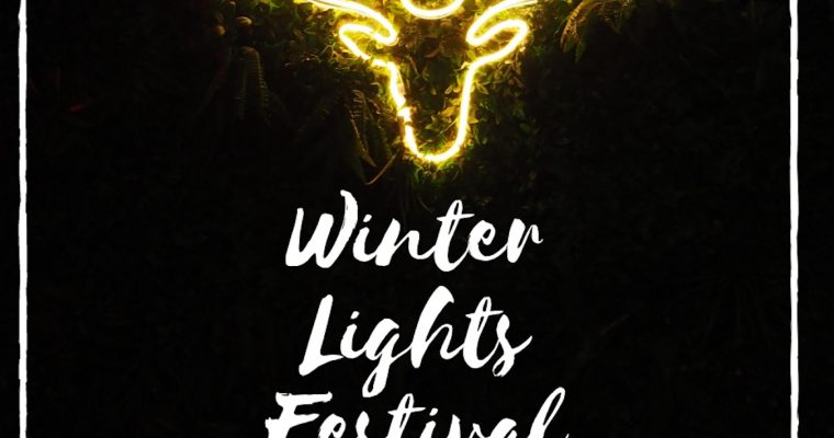 Winter Lights Festival – Canary Wharf